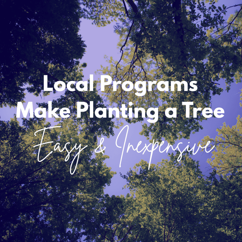 Local Programs Make Planting a Tree Easy & Inexpensive